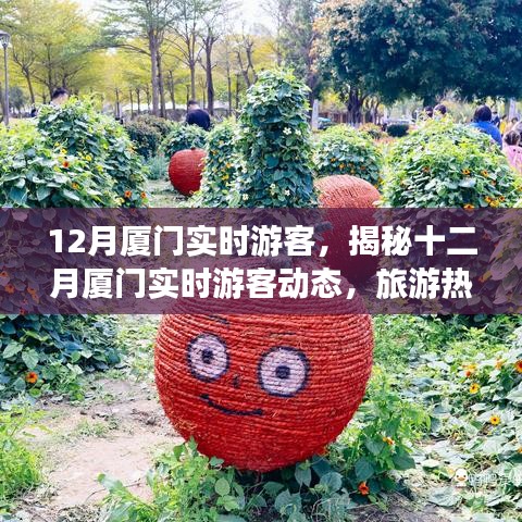 揭秘十二月廈門游客動(dòng)態(tài)，旅游熱點(diǎn)、特征與活動(dòng)亮點(diǎn)