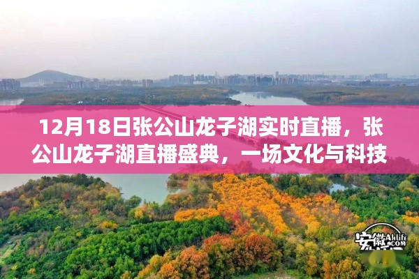 張公山龍子湖直播盛典，文化與科技的璀璨交融之夜