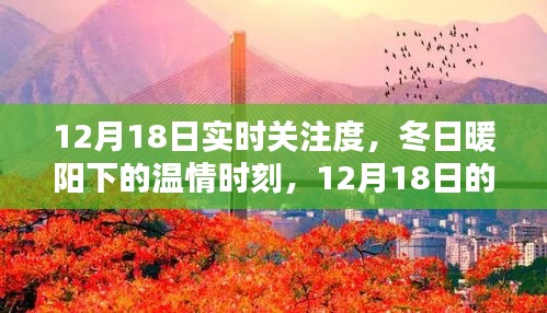 12月18日實時關(guān)注，冬日暖陽下的溫情時刻