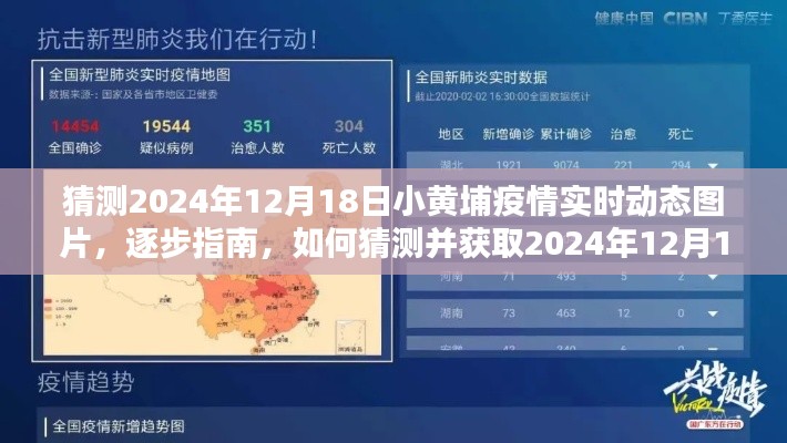 揭秘，如何獲取與猜測2024年小黃埔疫情實時動態(tài)圖片指南