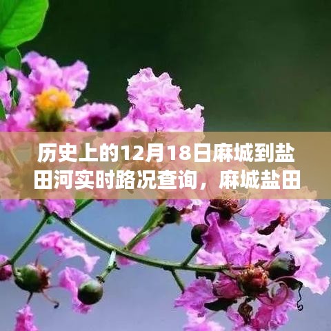 麻城鹽田河，一條路上的故事與溫情——實(shí)時路況查詢記錄