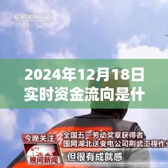 揭秘實(shí)時(shí)資金流向，開啟財(cái)富之旅的自信與成就感之路（2024年12月18日）
