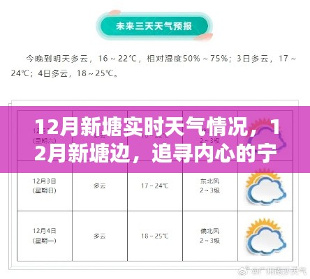 12月新塘實(shí)時(shí)天氣探索，追尋內(nèi)心的寧?kù)o與自然微笑