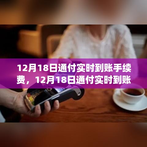 12月18日通付實(shí)時(shí)到賬手續(xù)費(fèi)調(diào)整解析，新政策費(fèi)用標(biāo)準(zhǔn)及其影響