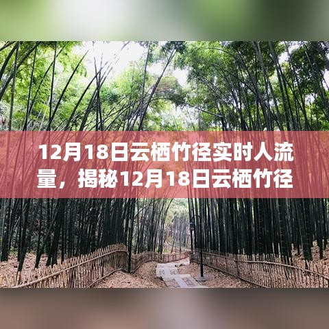 揭秘，云棲竹徑在12月18日的實時人流量深度解析與洞察報告