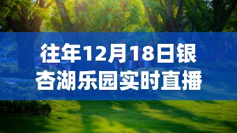 重溫銀杏湖樂園夢幻之旅，往年12月18日直播盛典回顧