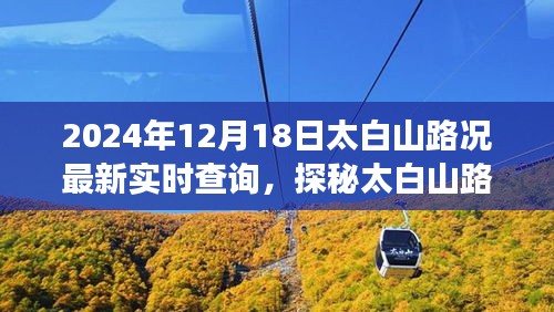 太白山路況實(shí)時(shí)更新，美食之旅探尋隱藏小巷的獨(dú)特風(fēng)味