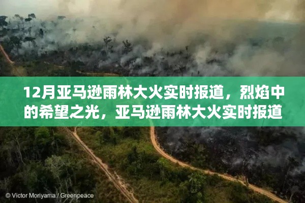 亞馬遜雨林大火實(shí)時(shí)報(bào)道，烈焰中的希望與挑戰(zhàn)，啟示背后的故事與反思