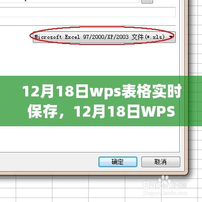 12月18日WPS表格實時保存設(shè)置，提升工作效率的關(guān)鍵