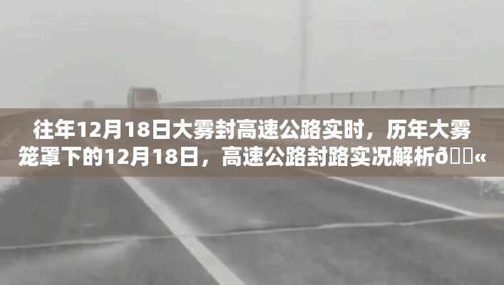歷年大霧籠罩下的高速公路封路實況解析，揭秘大霧封路背后的真相與應對之道！