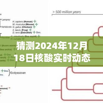 揭秘未來之旅，核酸實(shí)時(shí)動態(tài)與心靈自然美景的奇妙邂逅（預(yù)測日期為2024年12月18日）