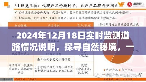 探尋自然秘境的心靈之旅，2024年12月18日實(shí)時監(jiān)測道路情況深度解析