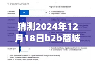深度評(píng)測(cè)，預(yù)測(cè)與解析2024年12月18日B2B商城實(shí)時(shí)票據(jù)特性、體驗(yàn)、競(jìng)品對(duì)比及用戶群體分析