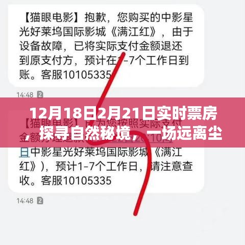 探尋自然秘境的心靈之旅，揭秘實(shí)時(shí)票房熱議背后的故事