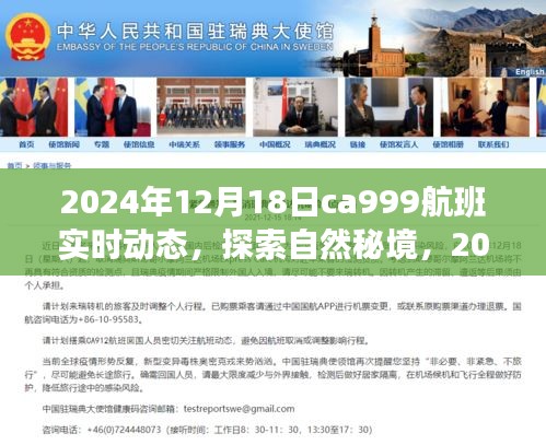 探索自然秘境，揭秘CA999航班實時動態(tài)與奇妙之旅