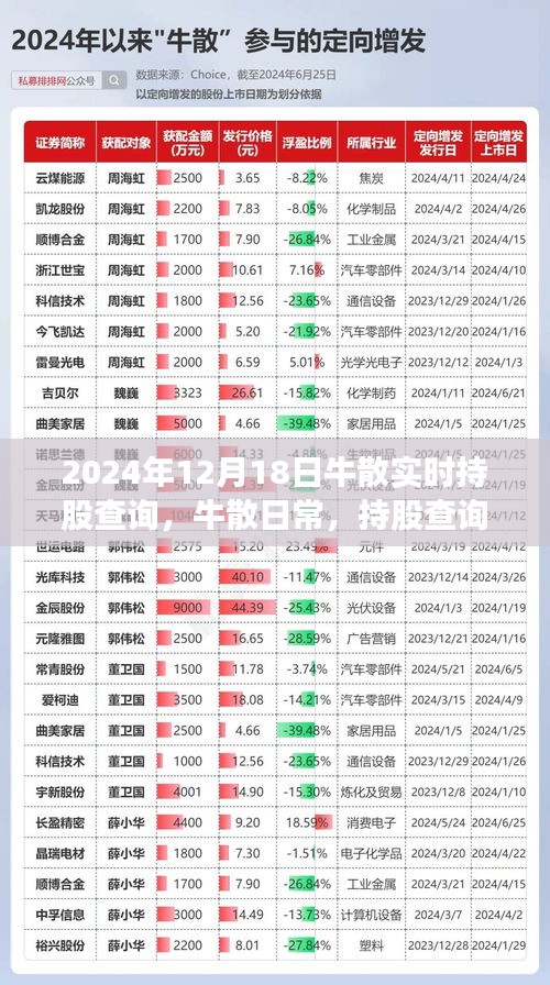 牛散日常揭秘，持股查詢背后的溫情故事與牛散實時動態(tài)追蹤（2024年12月18日）