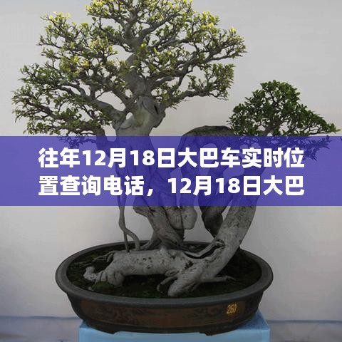 技術(shù)革新與出行變革，追溯大巴車定位查詢熱線的發(fā)展歷程