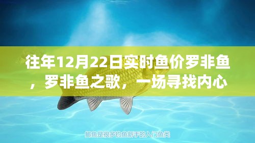 羅非魚之歌，探尋深海魚價與內(nèi)心平靜的旅程