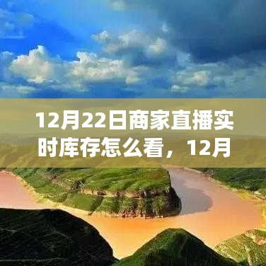 12月22日商家直播探秘，實時庫存查看與內心平靜的自然美景之旅