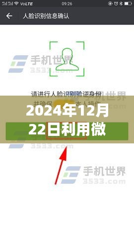 微信實(shí)時(shí)輸入數(shù)據(jù)庫操作指南，從初學(xué)者到進(jìn)階用戶的全面指南（2024年12月22日更新）