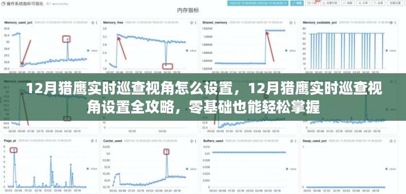 12月獵鷹實(shí)時(shí)巡查視角設(shè)置攻略，零基礎(chǔ)也能輕松掌握