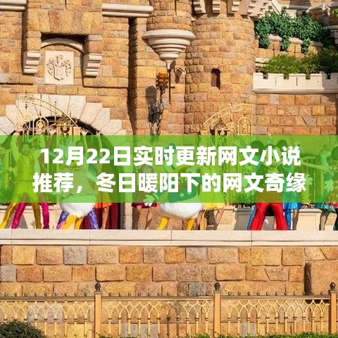 冬日暖陽下的溫馨網(wǎng)文奇緣，實(shí)時(shí)更新小說推薦
