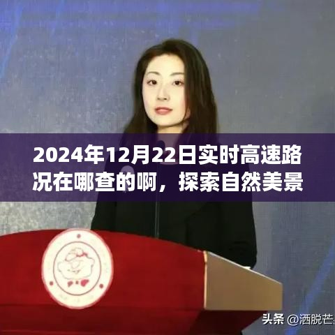 探索自然美景之旅，實(shí)時(shí)高速路況查詢指南與尋找內(nèi)心平靜的旅程