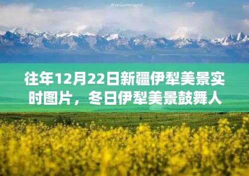 冬日伊犁美景鼓舞人心，學(xué)習(xí)之旅中的自信與成就感實(shí)時(shí)圖片展示