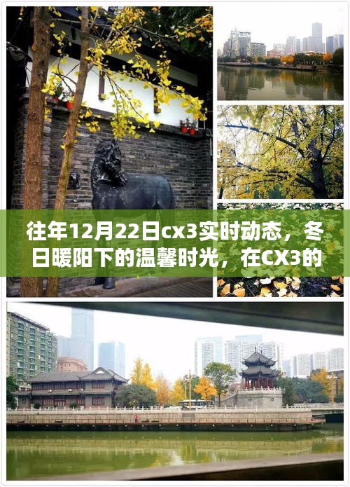 冬日暖陽下的CX3實(shí)時(shí)動態(tài)，找尋家的溫馨與愛的力量