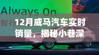 揭秘威馬汽車銷量背后的秘密故事，小巷深處的風(fēng)景與隱藏式特色小店，實(shí)時(shí)銷量分析十二月篇