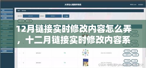 十二月鏈接實時修改內容系統(tǒng)，全面評測與介紹指南