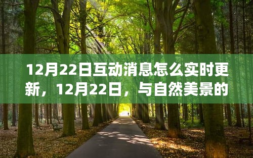 與自然美景的實時互動之旅，如何實時更新互動消息，追尋內(nèi)心的寧靜與平和在12月22日