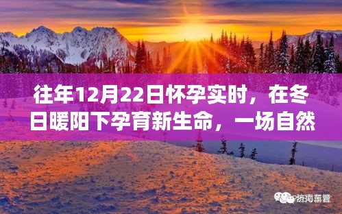 冬日暖陽下的孕育之旅，自然美景探索與孕育新生命紀實