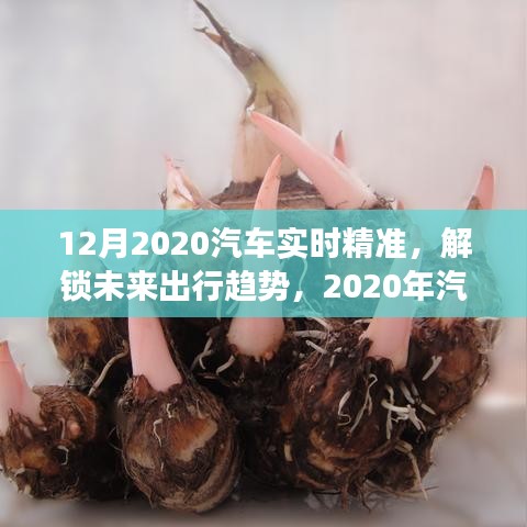 深度洞察