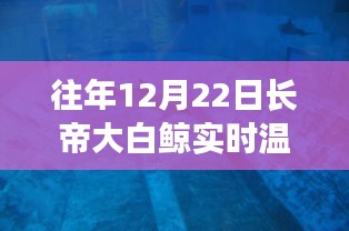 長帝大白鯨智能溫度計，實時溫度觸手可及，科技帶來生活溫暖