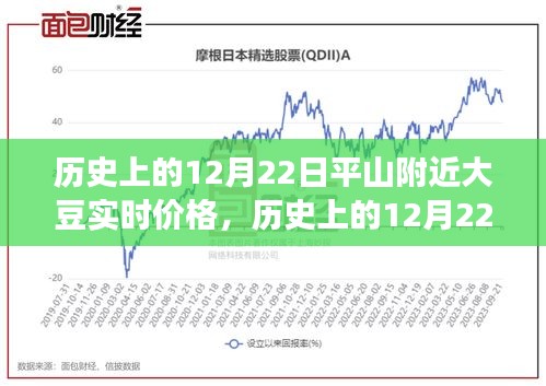 歷史上的12月22日平山附近大豆價(jià)格風(fēng)云紀(jì)實(shí)，實(shí)時(shí)價(jià)格回顧與趨勢分析