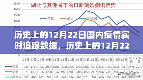 歷史上的12月22日國內(nèi)疫情實時追蹤數(shù)據(jù)詳解，步驟指南與實時追蹤報告