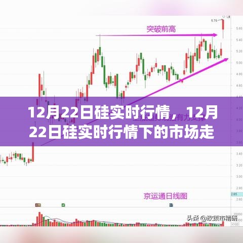 12月22日硅市場實時行情解析，市場走勢、個人觀點與洞察
