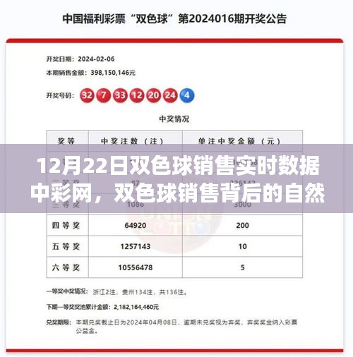 探索雙色球銷(xiāo)售背后的自然之旅，內(nèi)心平靜的奇妙旅程揭秘（實(shí)時(shí)數(shù)據(jù)解析）