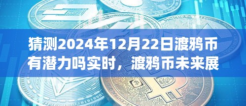渡鴉幣未來展望，擁抱潛力，探索數(shù)字世界新紀(jì)元——至2024年12月22日的深度解析