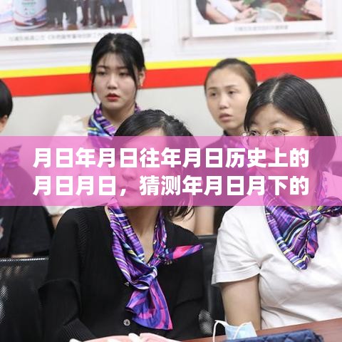 上海公交查詢，歷史與實時下載之旅