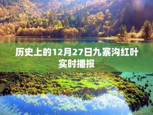 九寨溝紅葉實(shí)時(shí)播報(bào)，歷史12月27日回顧