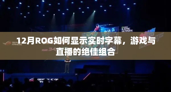 ROG實(shí)時(shí)字幕顯示，游戲與直播的絕佳搭檔，12月操作指南