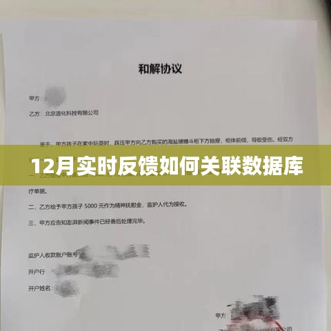 實(shí)時(shí)反饋與數(shù)據(jù)庫(kù)關(guān)聯(lián)之道，12月操作指南