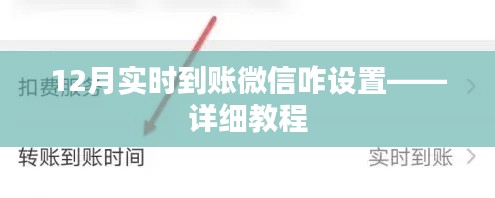 微信實時到賬設(shè)置教程，12月最新指南