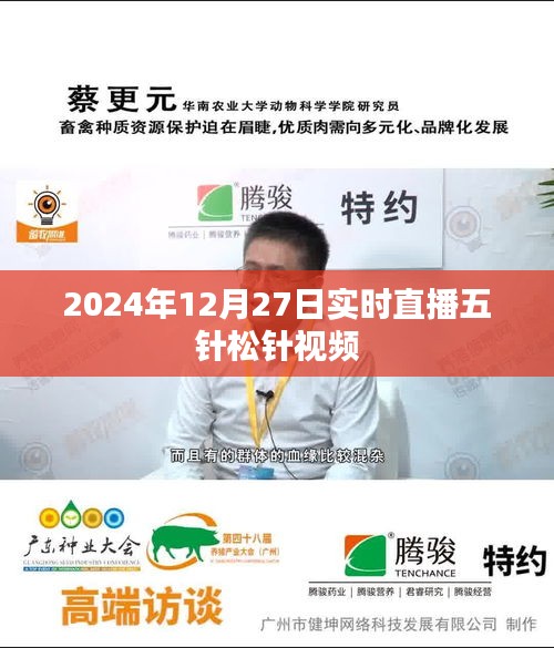 五針?biāo)舍樦辈ヒ曨l，實(shí)時觀賞與解析