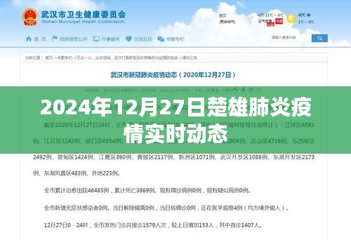楚雄肺炎疫情實(shí)時(shí)動(dòng)態(tài)更新（截至2024年12月27日）
