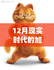 現(xiàn)實版加菲貓圖片集，溫馨可愛瞬間捕捉