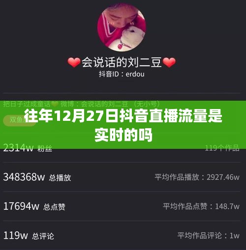 抖音直播流量歷年數(shù)據(jù)解析，直播流量實(shí)時(shí)性探討