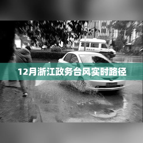 浙江政務(wù)臺(tái)風(fēng)實(shí)時(shí)路徑播報(bào)
